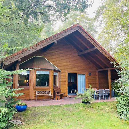 Ferienhaus Svenja, Wiefelstede-Lehe Exteriör bild